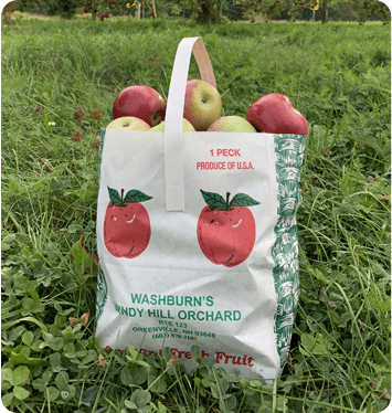 Portrait of bag of apples