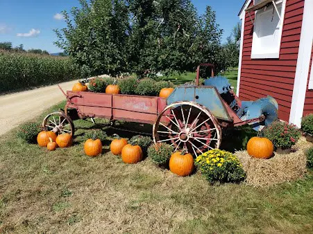 Portrait of pumpkins on old vehicle