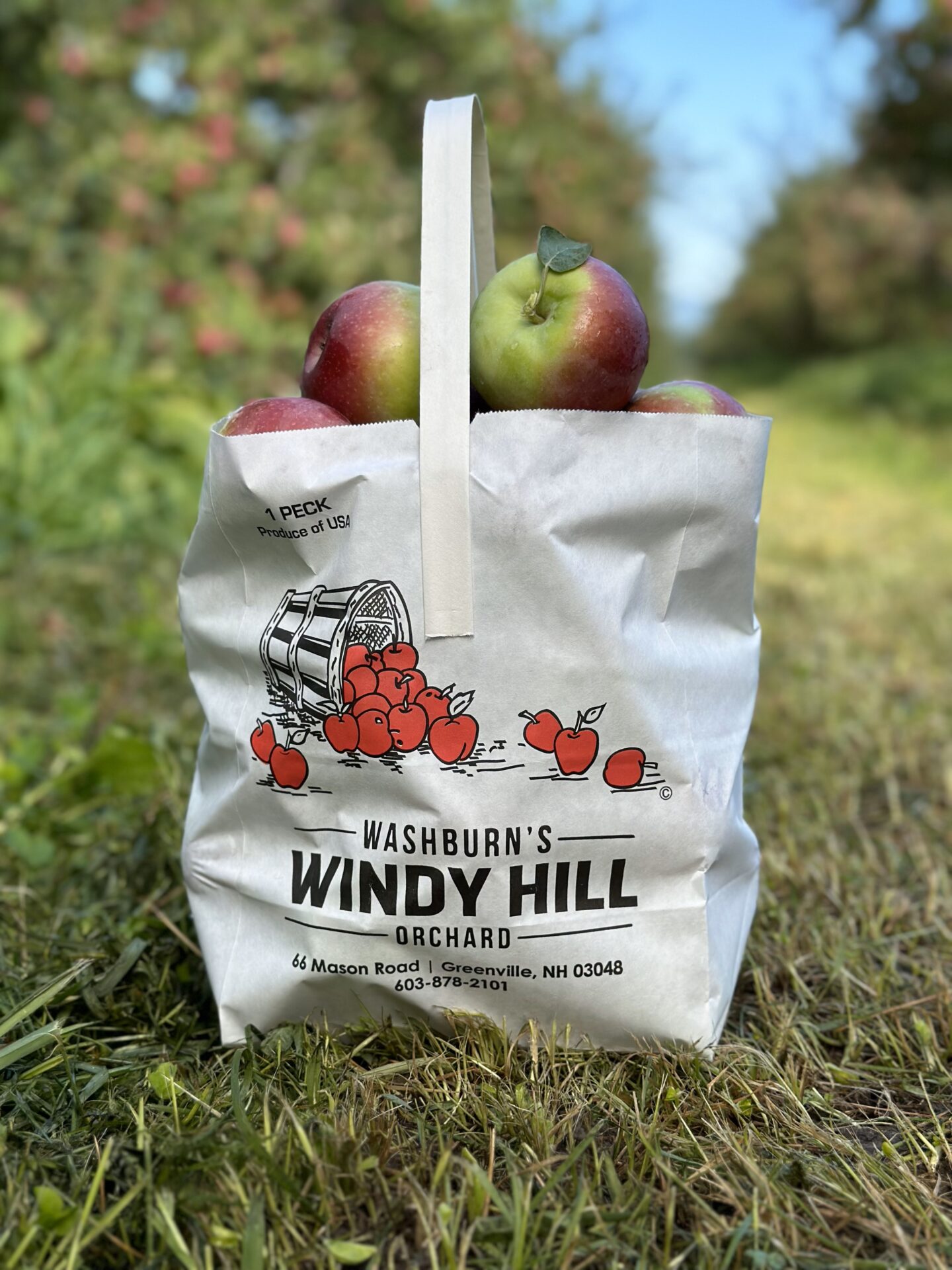 23 Apple Bag