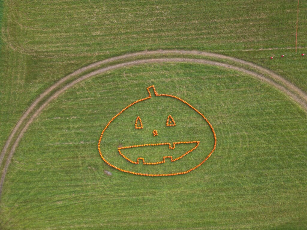 A Halloween pumpkin face on the ground with pumpkins