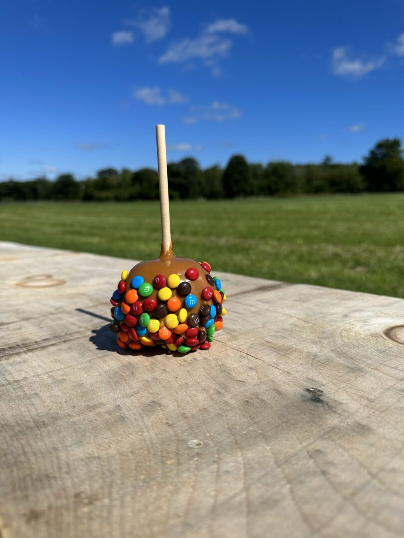 A caramel apple covered in colorful candy.